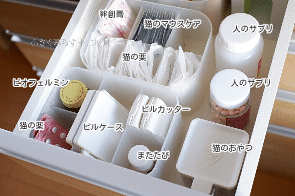 ダイソー 薬をすっきり整理整頓！コンビで使うべき2つの収納グッズ samia- エキスパート - Yahoo!ニュース