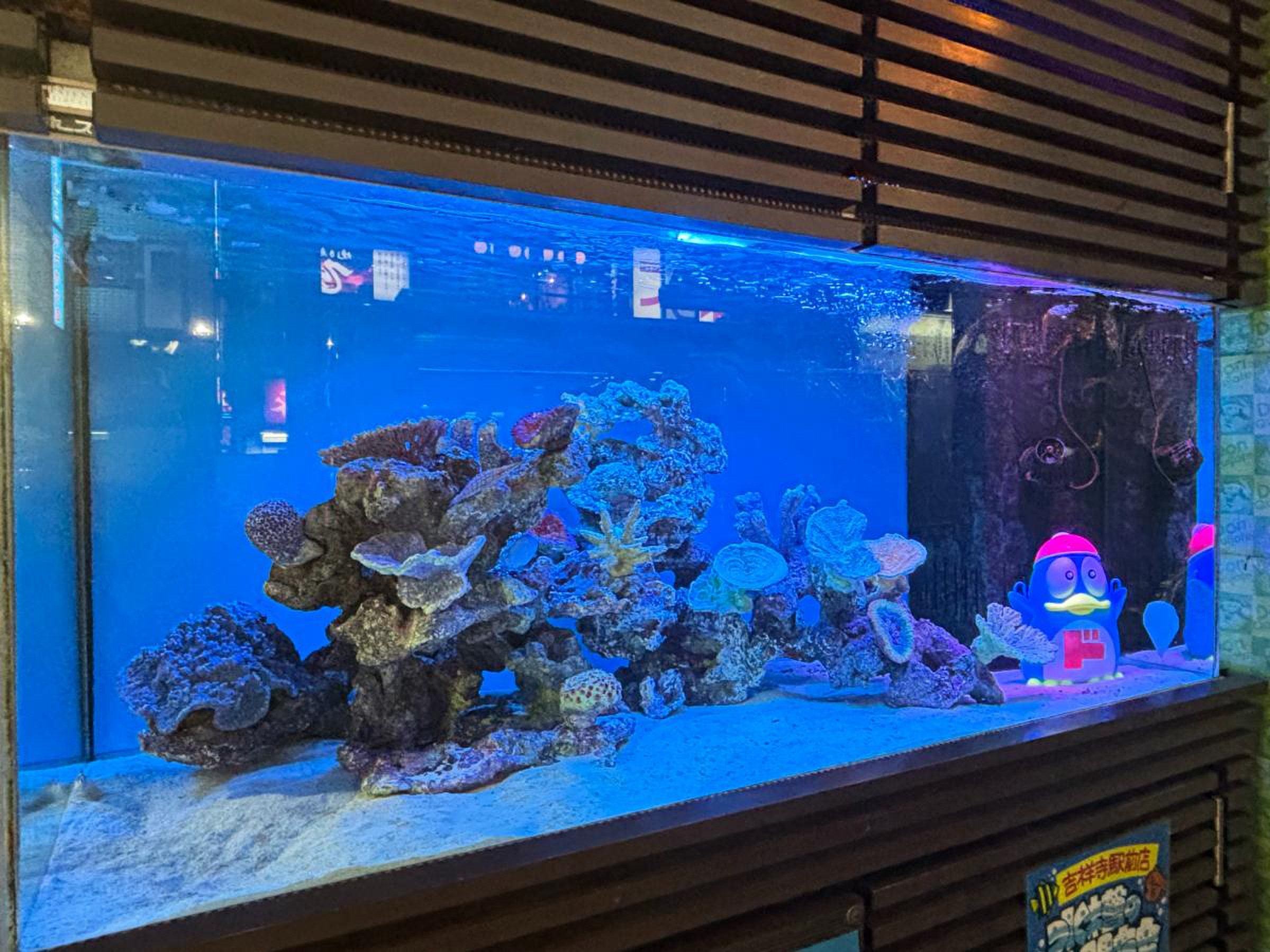 売買 吉祥寺の丸井別館跡に店舗を開業、ドン・キホーテ日経不動産マーケット情報