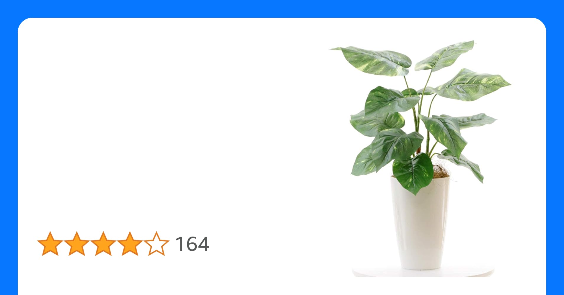 フェイクグリーンのおすすめ人気ランキング 2025年10月マイベスト