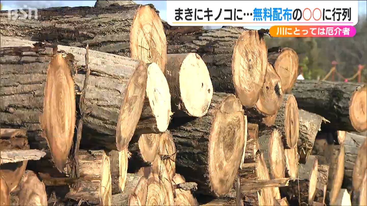 キャンプでの薪拾いのコツ～上手に現地調達する為には週末冒険会大人向けキャンプ・焚き火・アウトドア体験