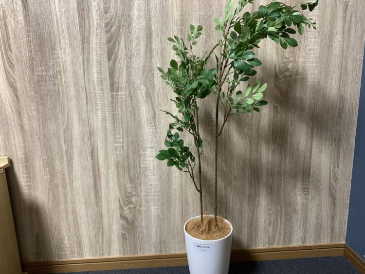 レビュー 造花ドットコムの評判は？リアル系フェイクグリーンおすすめ3選ボタニカルーム