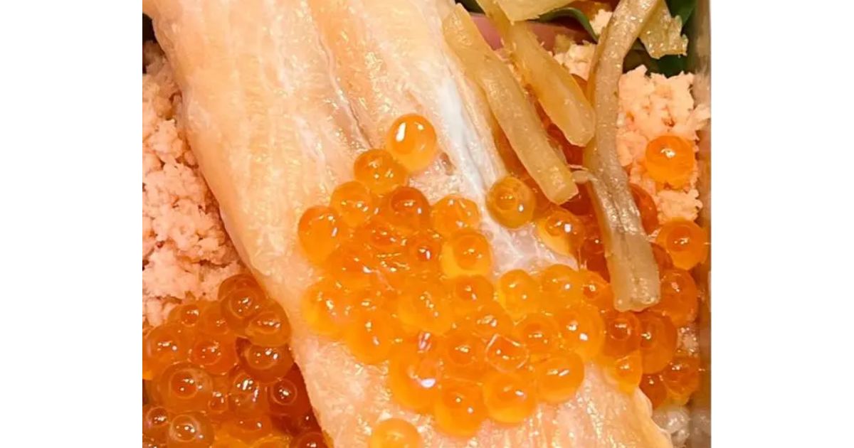 楽天市場ふるさと納税 R5-128．四万十川観光遊覧船 貸切ペア乗船券 : 高知県四万十市