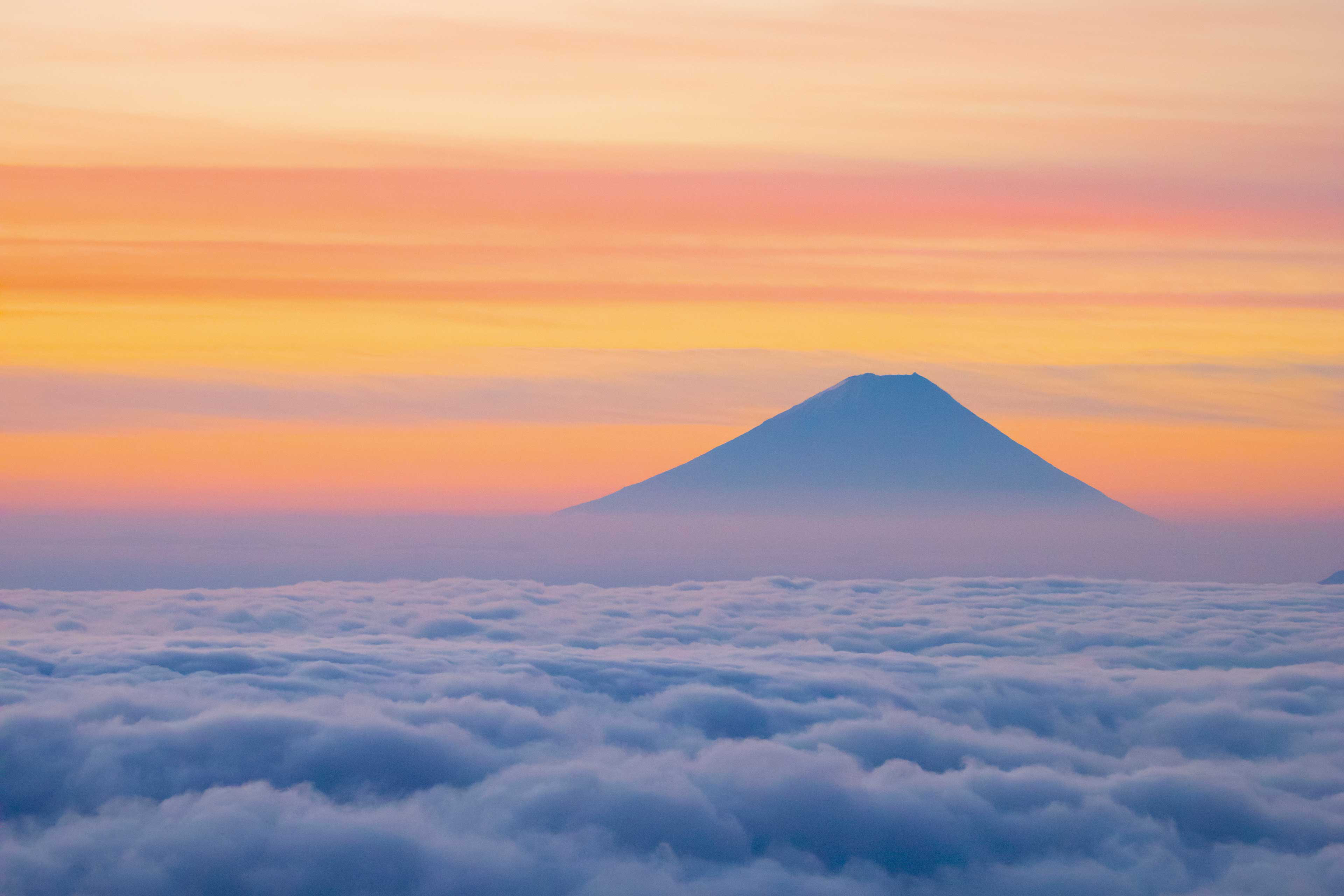 情報センサー 2020年新年号EY Japan