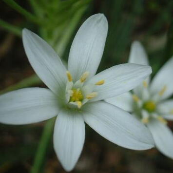 さっちさんの投稿 国土交通省 首都圏外郭放水路ことりっぷ