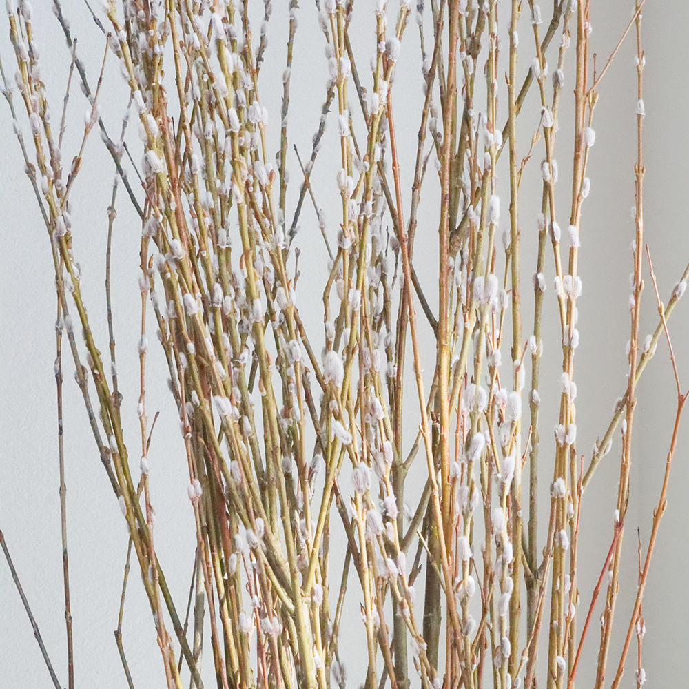 AmazonUiekeの柳の枝。柳刃包丁 オンライン通販