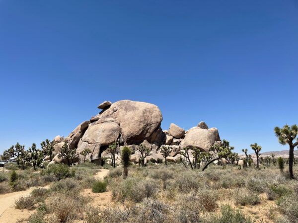 プレスリリース TikTok広告納品額が前年同四半期比557%成長を達成 フルファネル型運用体制と生成AI活用を強化 TikTokShop次世代ソーシャルコマース支援の加速も推進ニフティニュース