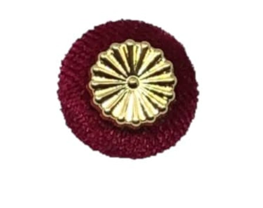 国会議員のバッジ公開聯合ニュース