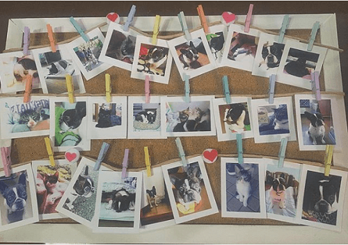 手作りプレゼントに♪ コルクボード&モール&マスキングテープ セット - メルカリ