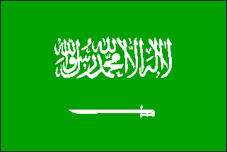 サウジアラビアの国旗ー 片面プリント Tシャツを購入デザインTシャツ通販 ClubT