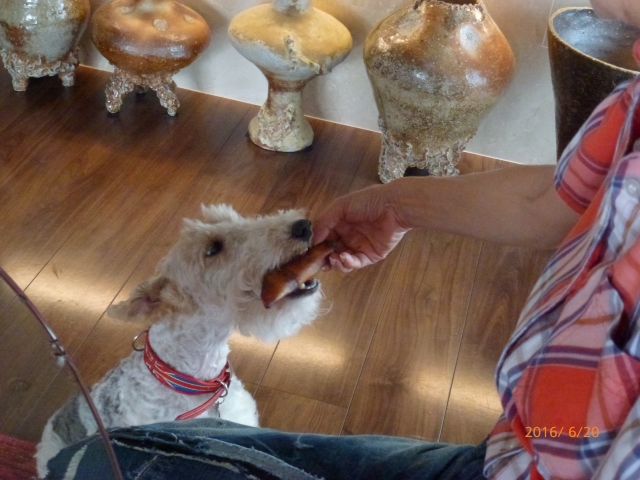 比嘉京子 デザイナー さんの経歴 プロフィール