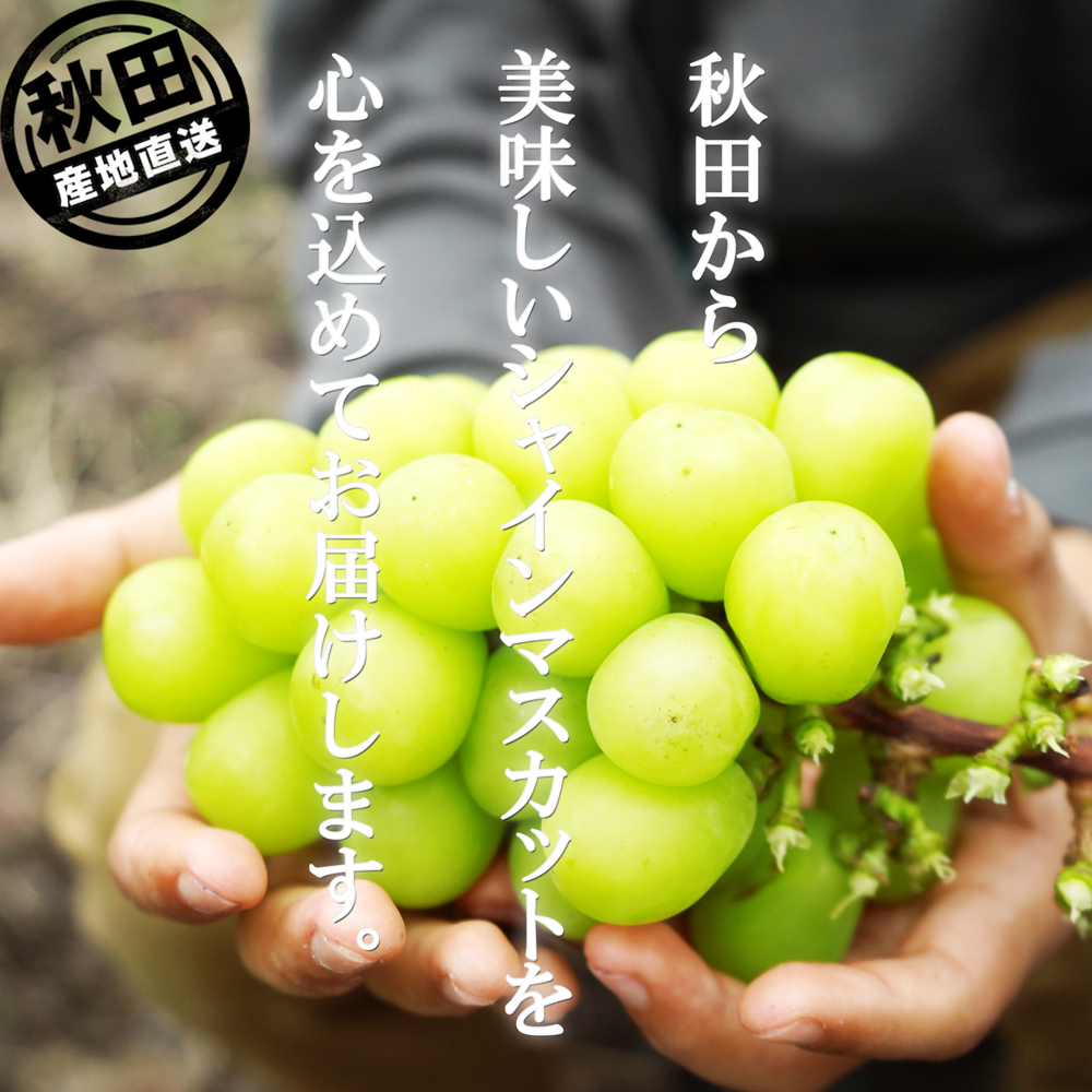 秋田のギフトShop🌸桜竹🎍 公式@ouchiku.gram• Instagram photos and videos