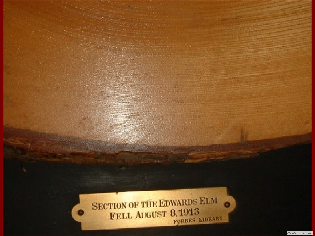 自由意志論 ジョナサン・エドワーズ選集1 中古本・書籍ブックオフ公式オンラインストア