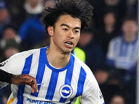 フェルディカドゥオール 育成TikTok