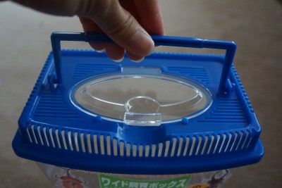 ダイソーで買ったもの▷飼育容器と虫取り網 : なんとなくと自己満足