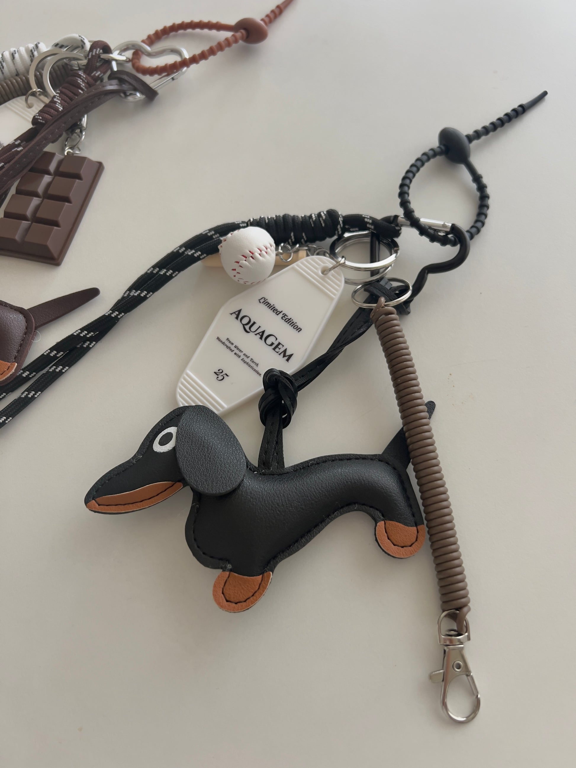 マルックス マルチーズ×ダックス の女の子 メス を価格や特徴で探すペットショップ探すならペットミ