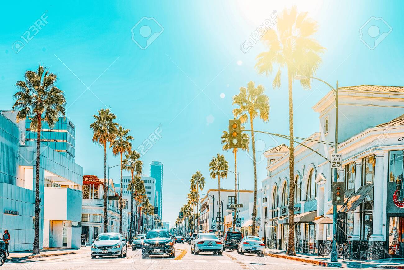 ハリウッドヒルズ様 ホームページ制作実績福岡ホームページ制作・SEO対策のメディアクロス株式会社