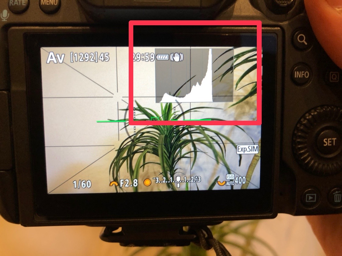 監視カメラの種類はなぜ白が多い？天井についてる白いやつの正体やおすすめ機種を紹介