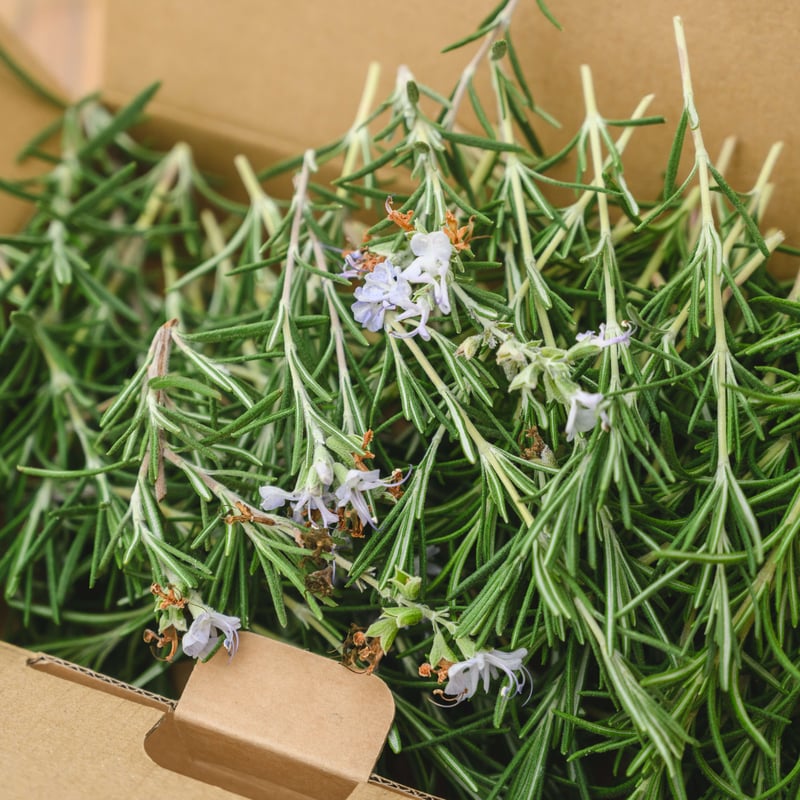 ひがしかわ株主制度東川町のまちづくりに参加しませんか