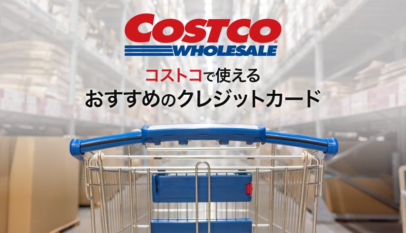 Amazon.co.jp: コストコ 洗って使えるペーパータオル 60カット×４ロール + lollolマイクロファイバークロス 商標登録済:ドラッグストア