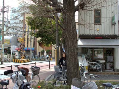 踏切動作反応灯の写真素材 - PIXTA