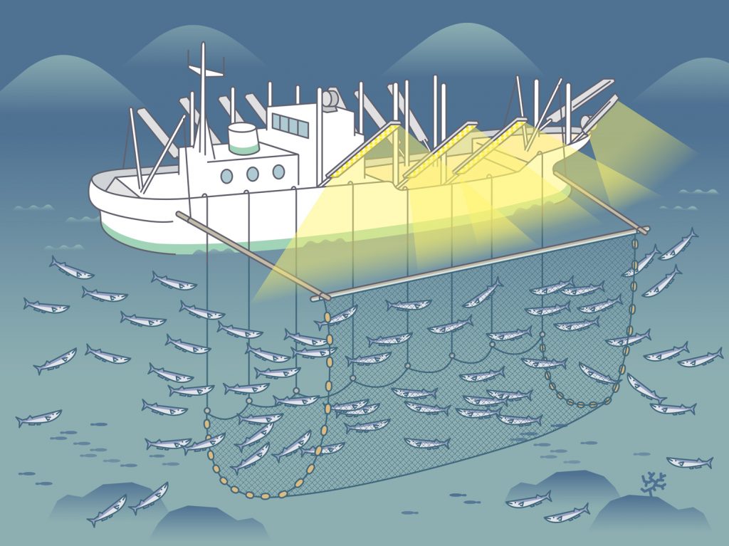 和歌山県の漁業 まき網和歌山県