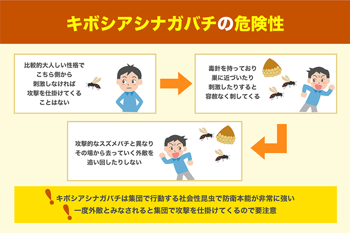 ホシアシブトハバチ