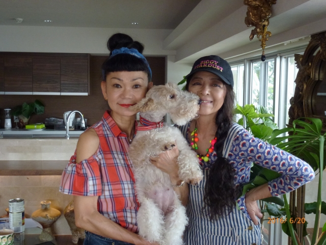 比嘉京子さん キョウコ ヒガ SHOP CHANNEL STYLE ゲストストーリ