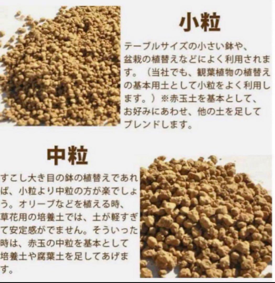 保存版 赤玉土とは？ 特徴や使い方、鹿沼土との違いまで徹底解説しますGardenStoryガーデンストーリー