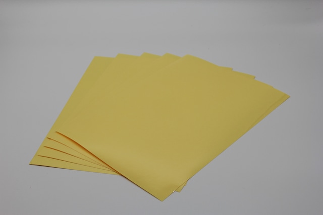 ダイソーとネットプリントで出来る！ 透明ラミネートの作り方♡fasme ファスミー