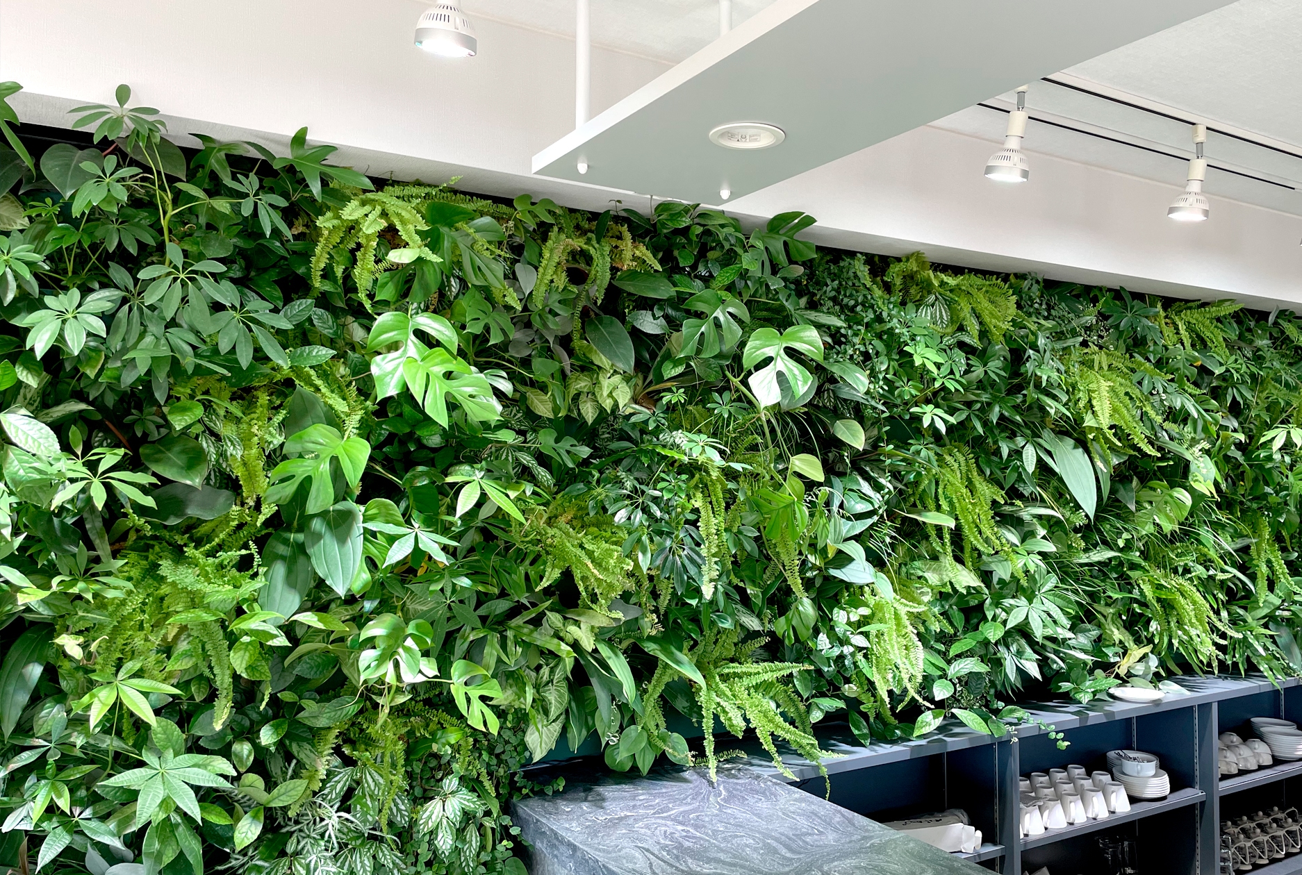 プランオフィス緑化ラボ