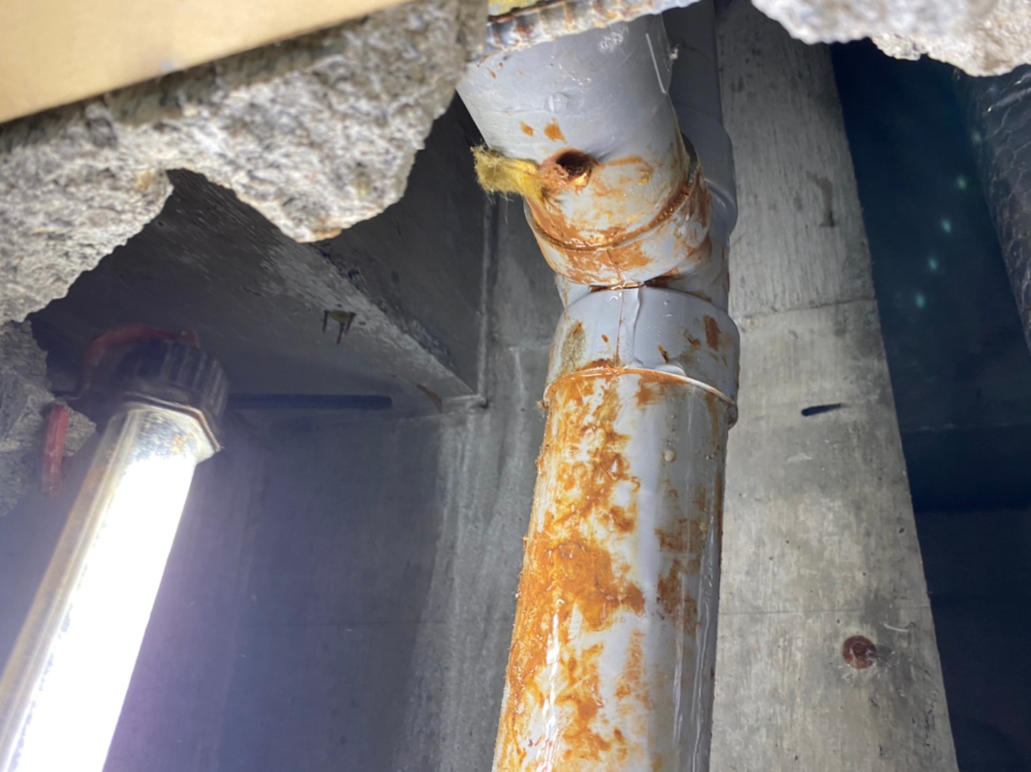 排水管は定期的に清掃しましょう！ - 水漏れ、詰まり、害虫駆除などの訪問修理株式会社ジェット JET