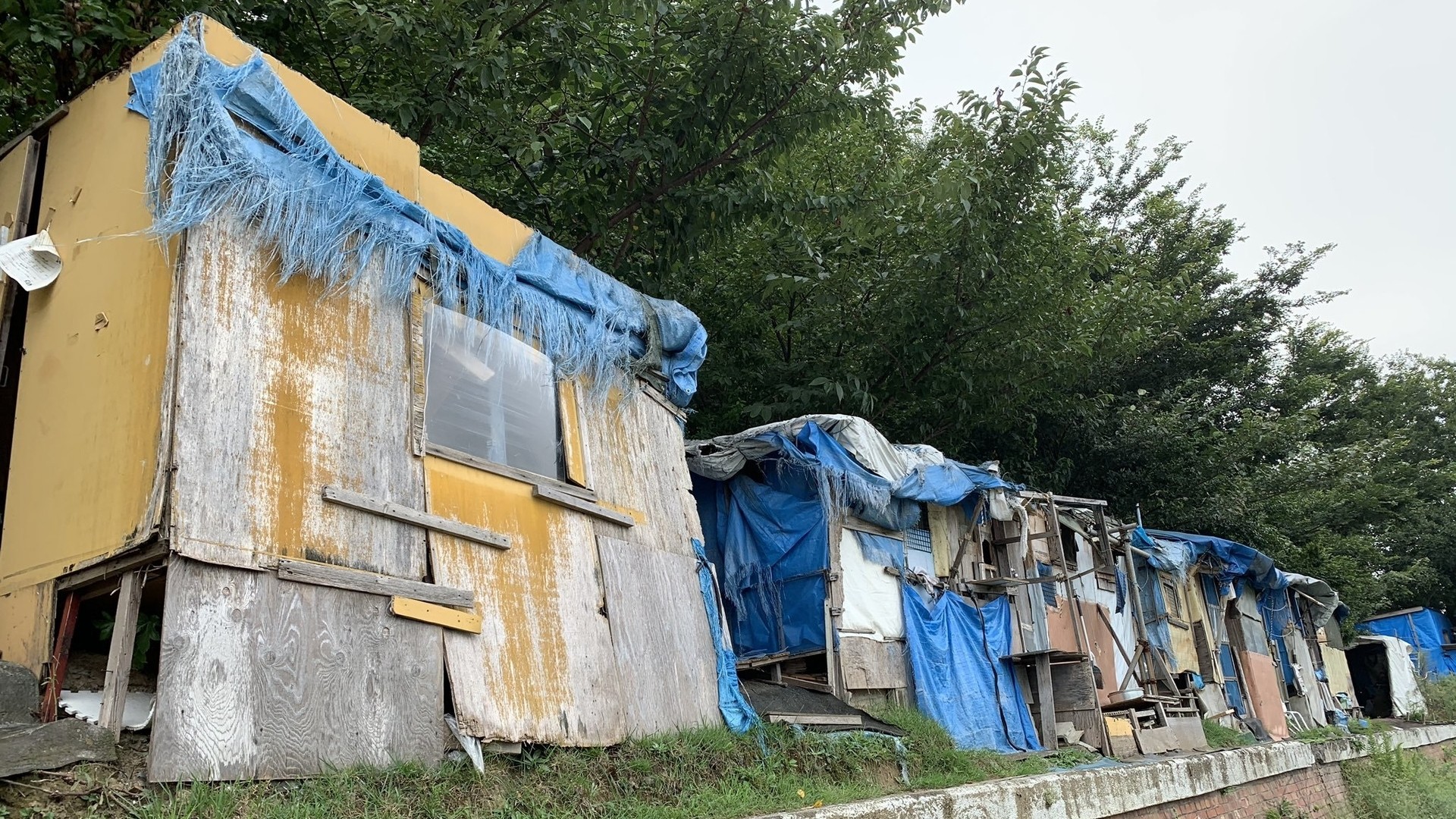 家の中のホームレス 月乃光司 - 販売書籍TSUTAYA レンタル・販売 商品在庫検索