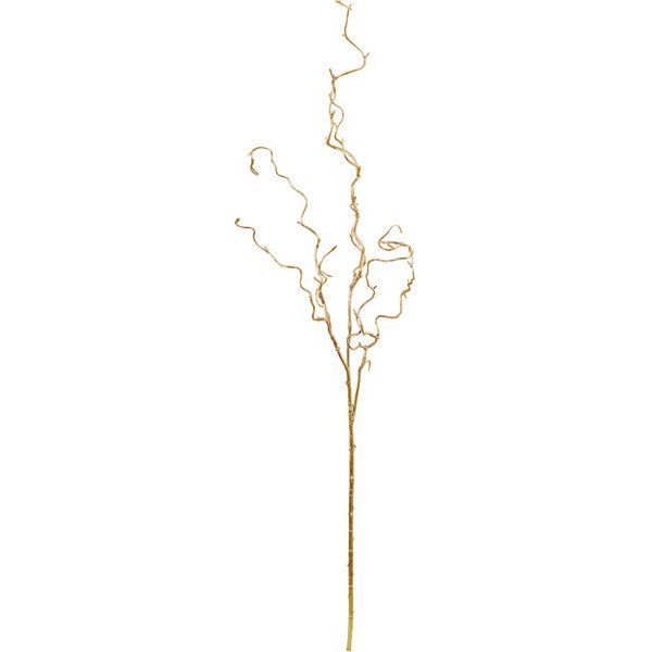 枝物のご紹介𓂃﻿ ﻿ 1枚目 雲竜柳 ウンリュウヤナギ ﻿ ＝ドラゴン柳とも呼ばれています﻿ くねくねとした枝が特徴﻿ ドライフラワーにもなります﻿﻿ 2枚目 トサミズキ﻿ 花の形がユニーク！﻿ 明るい黄色の花を咲かせます♩﻿ 春のお花との相性も◎﻿ ﻿ 3枚目 啓翁桜 ケイオウ