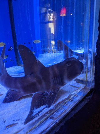 ハリウッド・ヒルズにある一軒家のバケーションレンタル - ロサンゼルス, カリフォルニア州Airbnb