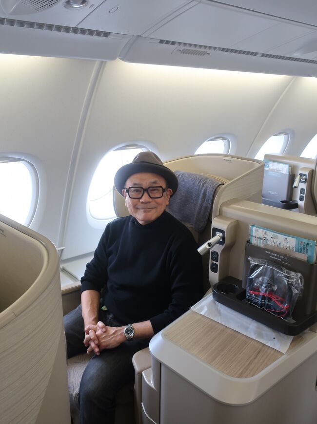 ANA NH210 ビジネスクラスの搭乗記！デュッセルドルフ～成田へ。～特典ファーストで行くモロッコ旅行⑰～ANAマイルを貯めてファーストクラス に乗りたい