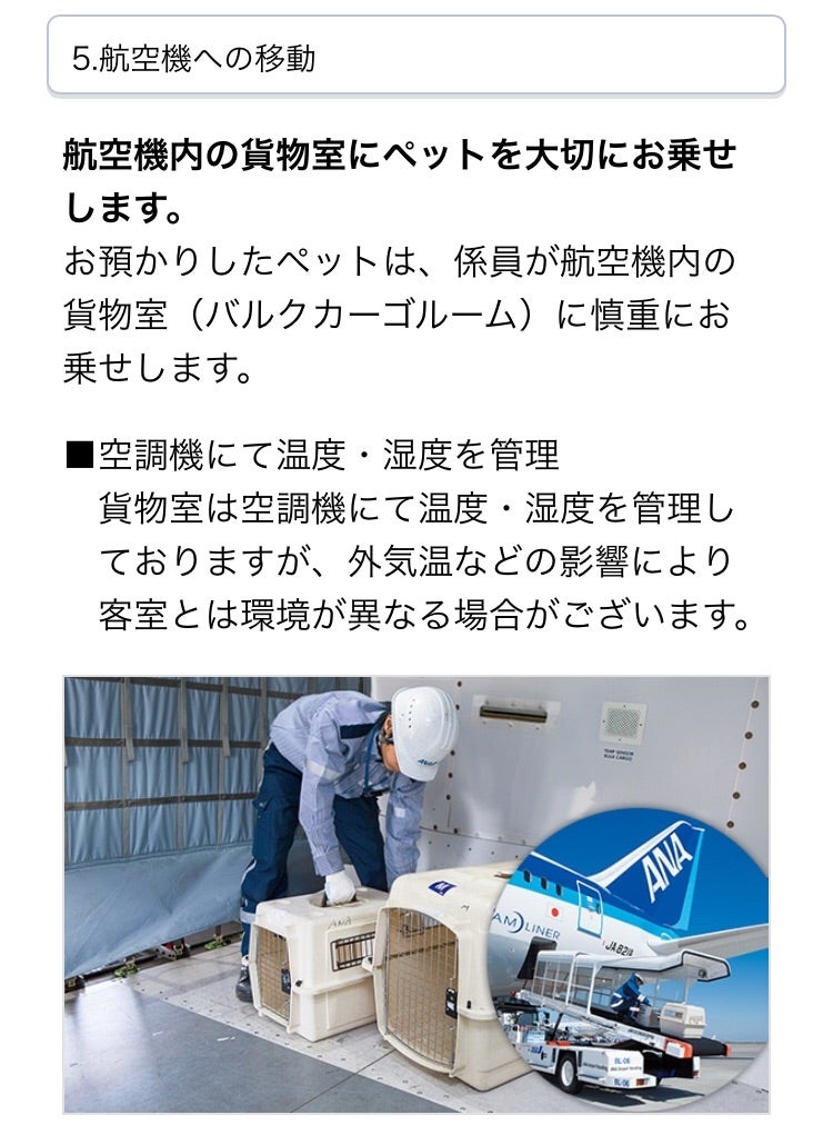 貨物機チャーター株式会社Jet Team