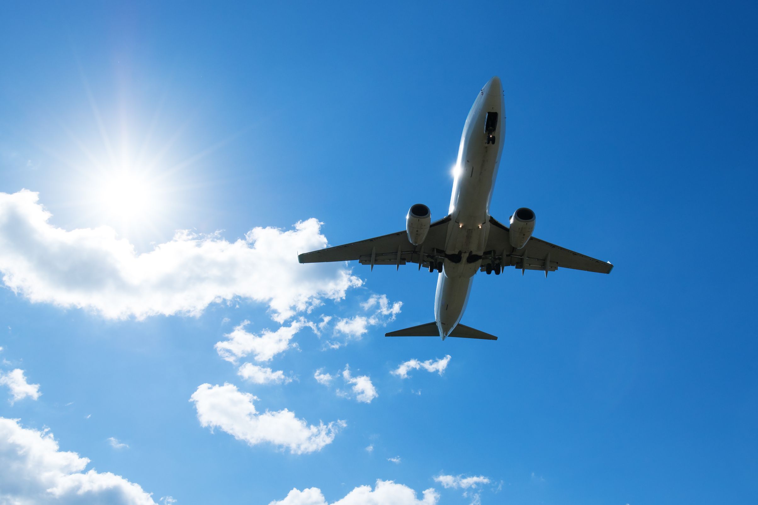 STAR JETS ロゴラメキーホルダー千葉ジェッツB.LEAGUE Bリーグ 公式オンラインショップ