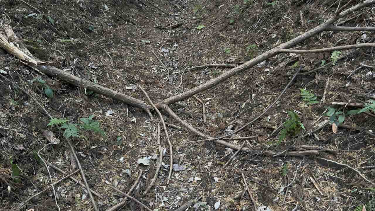 絶対に薪にお金をかけたくないでござる！薪節約術の巻 : ラヲキャン ～ ラーメンヲタクがキャンプ沼にズブズブハマるまで ～