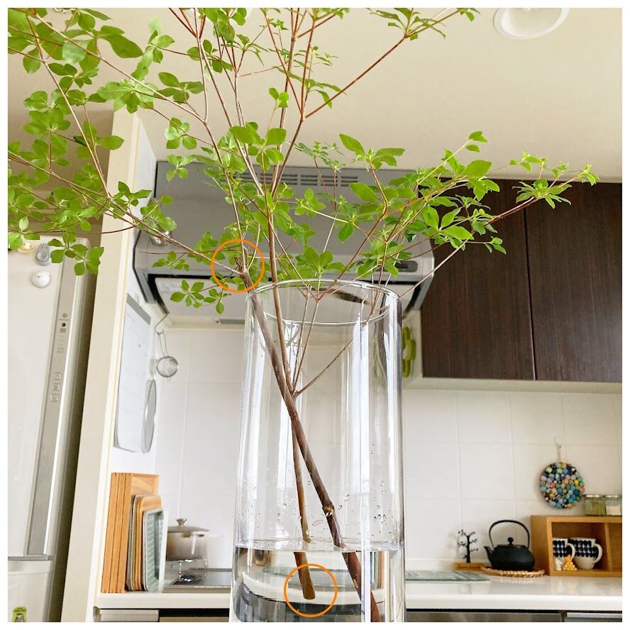 カインズファンの皆さん待っててね！ 2022年中目標で オワコン 関東カインズ核店舗での販売が始まるにょ」雑草・ぬかるみ対策「オワコン 」生コンポータル