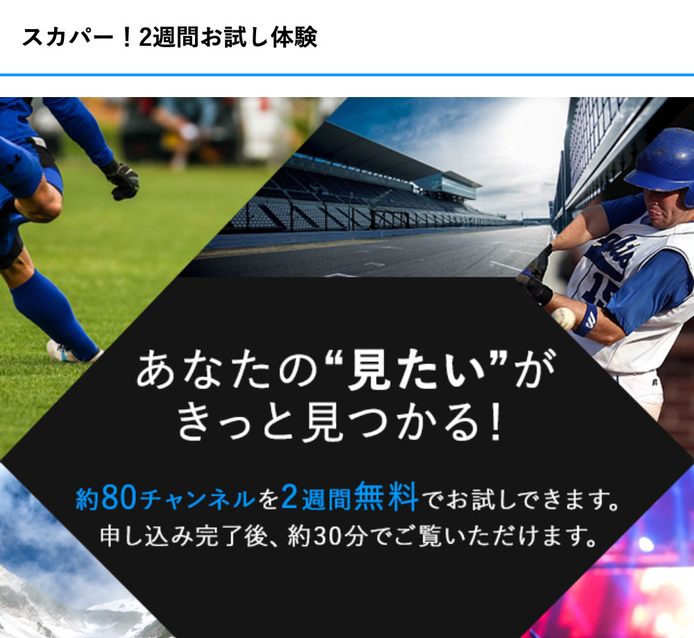 スカパー CS を無料で見る方法・裏技を解説