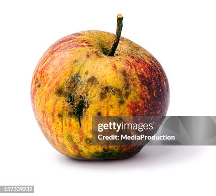 腐ったりんごの法則？ - りんごの秘密🍎ringonohimitsu's diary