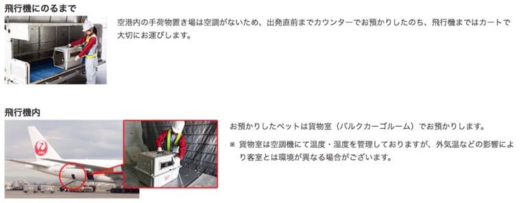 もう“荷物”じゃない！機内でも愛犬と一緒に過ごせる旅ニュースイッチ by 日刊工業新聞社