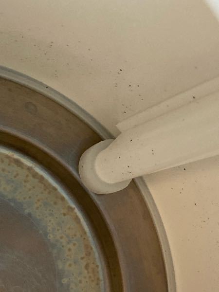 内部の黒い斑点はもしかしてカビ？クエン酸や重曹を使った電気ケトルの掃除法@DIME アットダイム