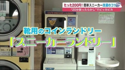 スニーカーと靴の脱水方法4選 ドラム式洗濯機・コインランドリー・手動の注意点シューナビ