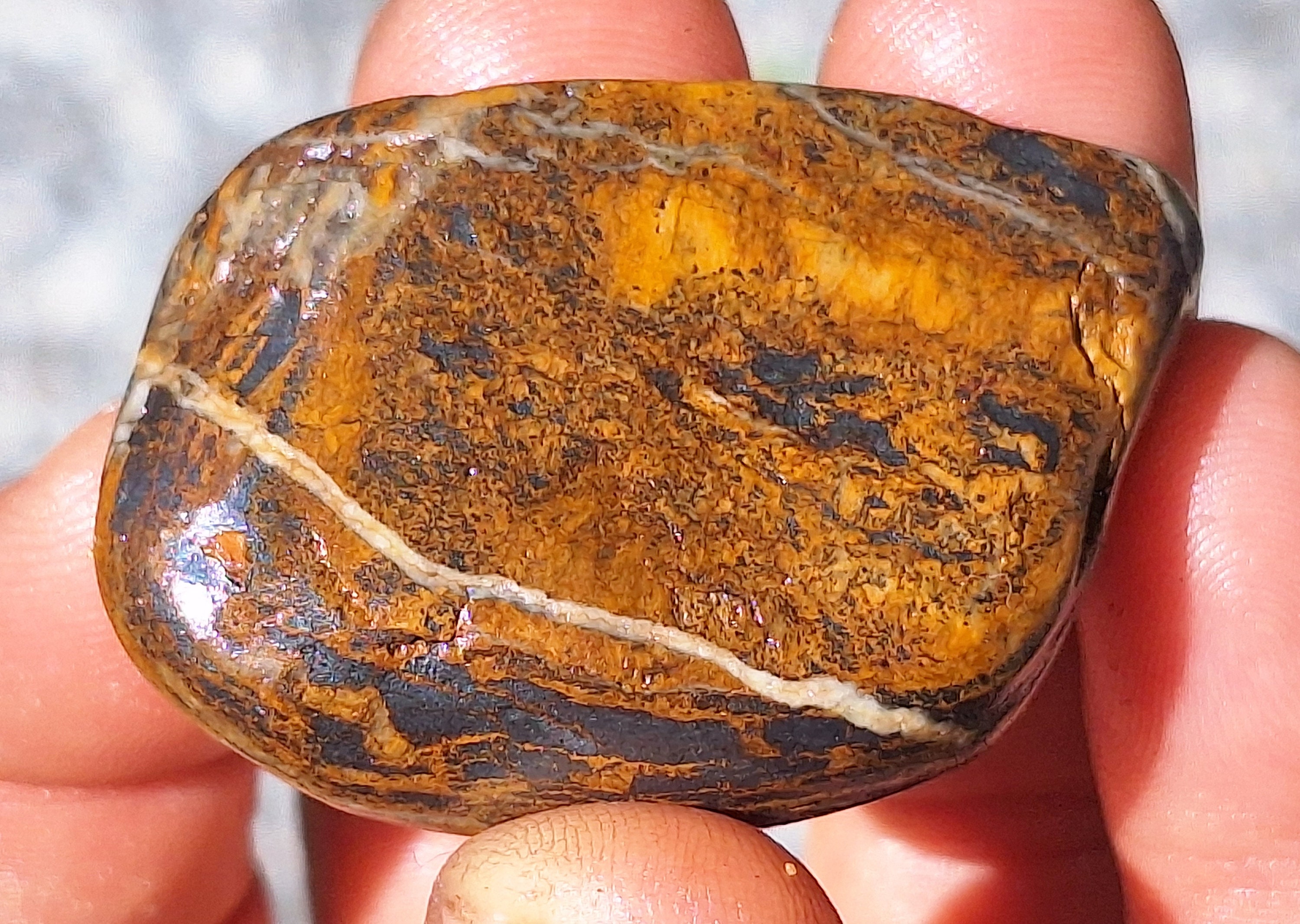 ロゴストロンほむすひ&火打石