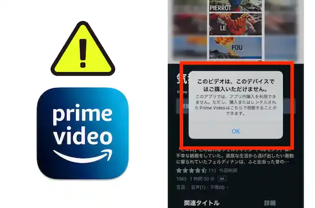Amazonプライムビデオの料金や支払い方法を徹底解説 広告なしオプションは別料金BizPLUSブログ