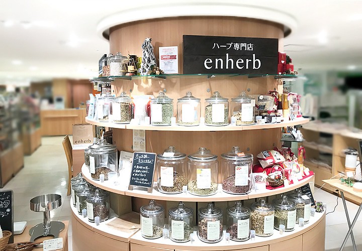 ロイヤルホームセンター港南台店,ペットショップシュシュ港南台店,ヨークシャーテリア,ヨークシャーテリア子犬