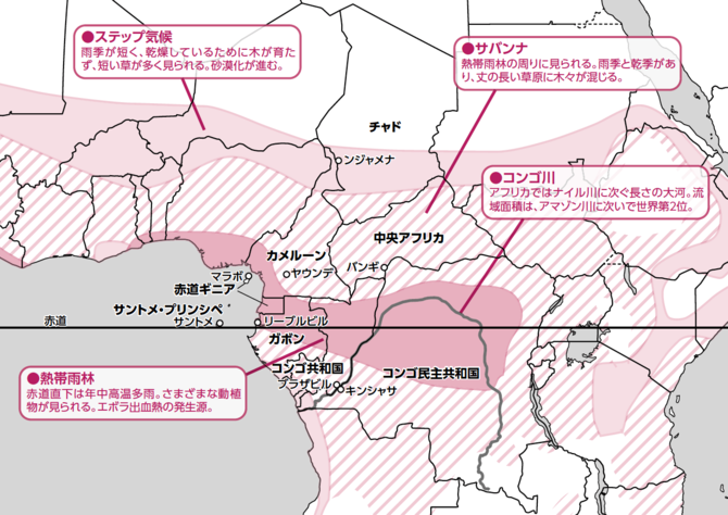 コンゴに根深く残る不処罰、人権侵害、紛争鉱物―国連レポートからわかる12年前と現在―認定NPO法人テラ・ルネッサンス