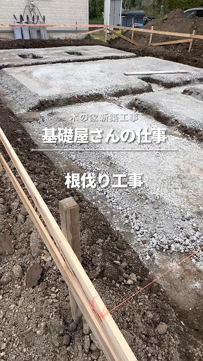 抜根の道具を33点から厳選！初心者におすすめの商品と効果的に使うコツ伐採110番