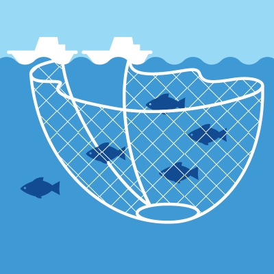 海外まき網漁業ってどんな漁業福一漁業株式会社 海洋生産事業部